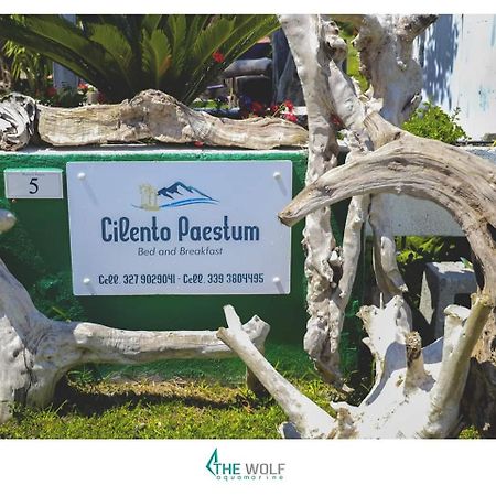 B&B Cilento Paestum Dış mekan fotoğraf