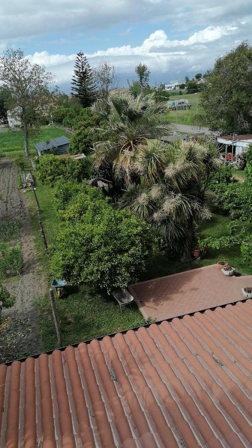 B&B Cilento Paestum Dış mekan fotoğraf