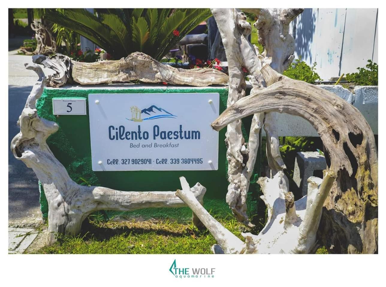 B&B Cilento Paestum Dış mekan fotoğraf